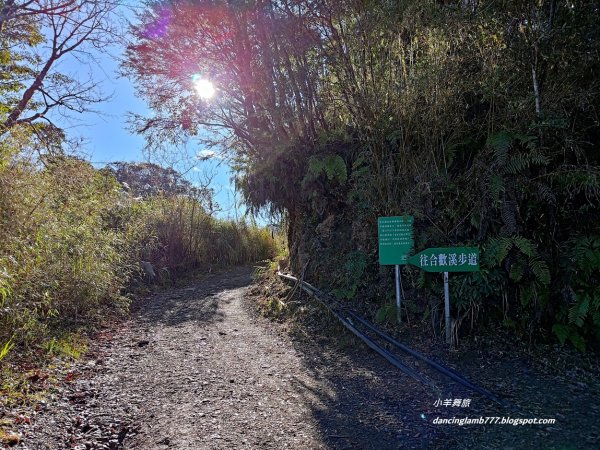【南投】合歡溪步道：遠得要命的櫻花鉤吻鮭2912227