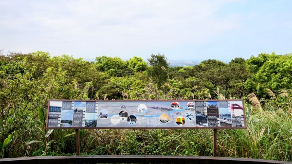 《蝶戀花。五色春深》2731658