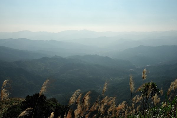 貂山古道與牡丹山O型2397860