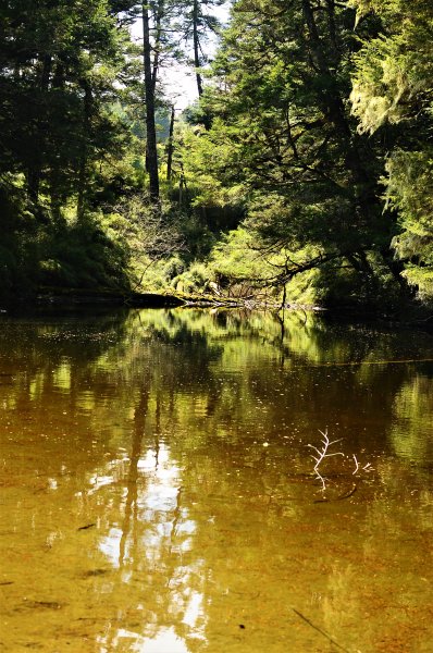 武法奈尾山天巒池872512