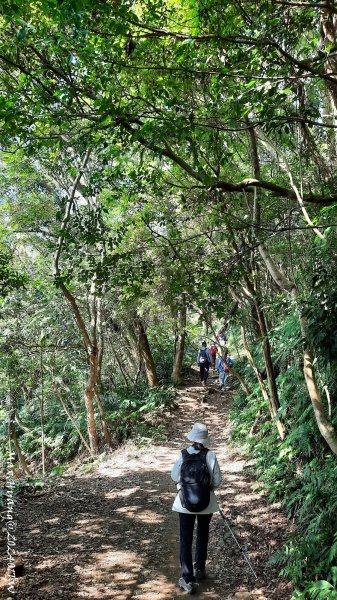 《桃園》一等郊山｜石門山登山步道O繞202401062397579