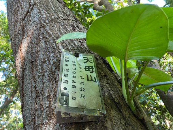 天母山封面