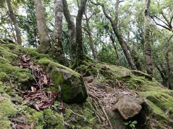 平溪區三功大厝+番子坑山+千階嶺步道O型2781173