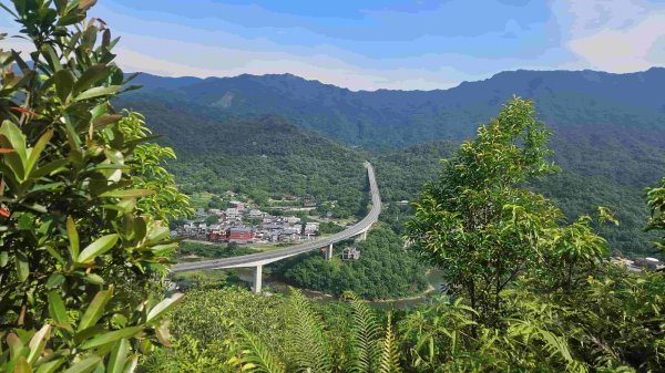 20250523千階嶺步道-平湖東西步道-乾坑古道2796206
