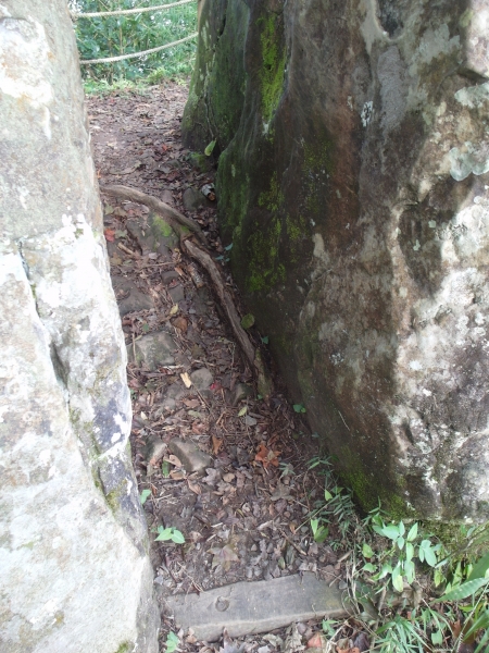 台灣小百岳第37座-苗栗泰安-馬那邦山88297