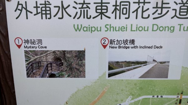 外埔水流東桐花步道819549