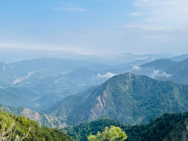 鳶嘴賞高山杜鵑1355780