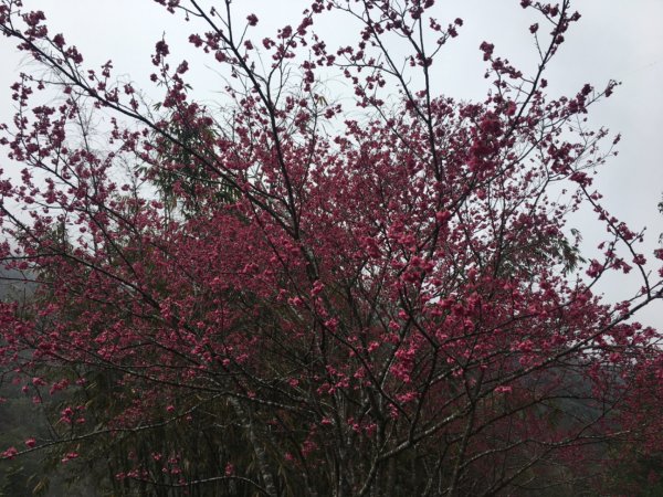 鳥嘴山（上島2708534