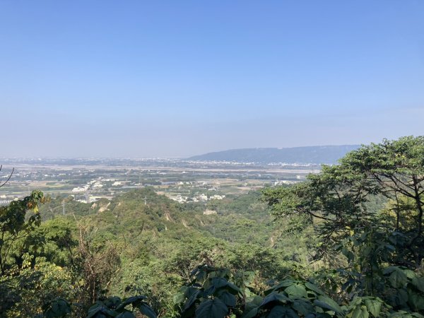 龍過脈森林步道2975685