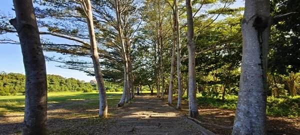 2025/11/09-青青草原步道2933452