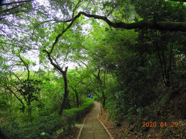 臺北市 文山 中埔山東峰817229