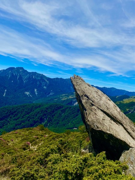 合歡山七連峰的空中花園賞花趣3073106