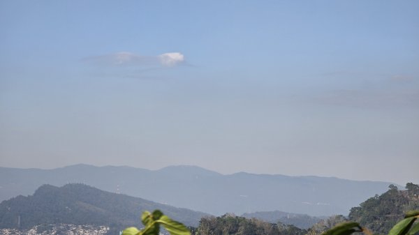 2025貓空樟樹步道花海搶先看，展期：1月18-2月9日，喜歡小冒險可以挑戰攀爬路線猴山岳。2691451