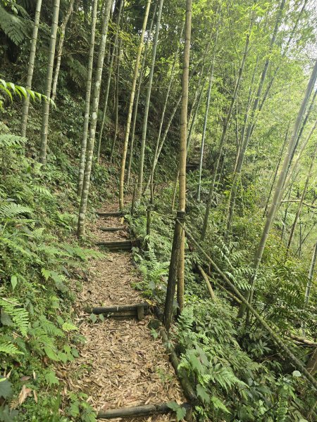 20260516 小百岳-南投集集大山3056237