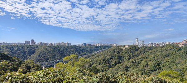 新寮休閒步道2949221