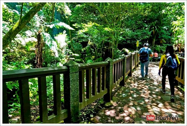 擎天崗系列步道2272527