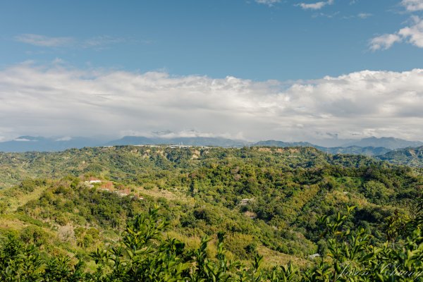 [台中]聚興山2703803