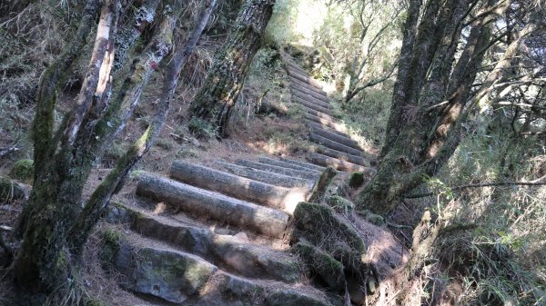 東埔山登山健行趣(中級山)2031813