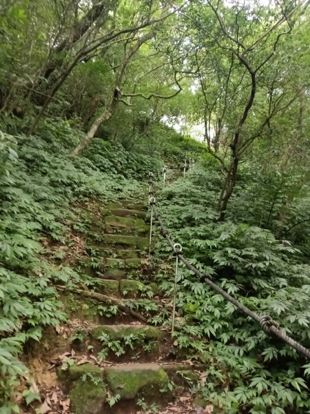基隆市荖寮坑古道+十分古道(暖東舊道)+頂子寮山(嶺頭土地公)P字走2821562