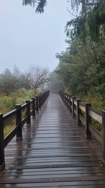 2025-0222 翠峰湖環山步道2718625