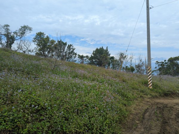 2025.02.27－月眉山2727894