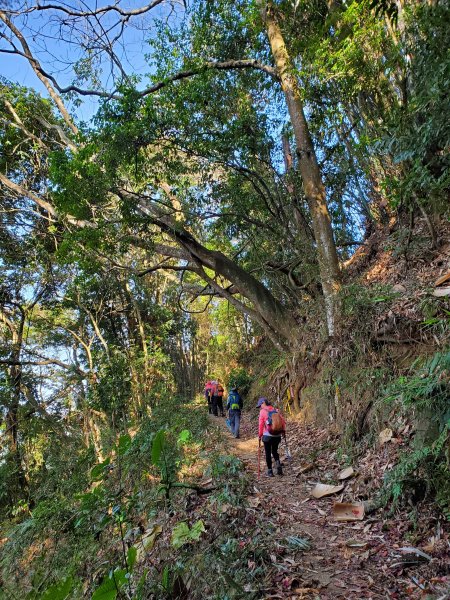 大克山砲台古道1246489