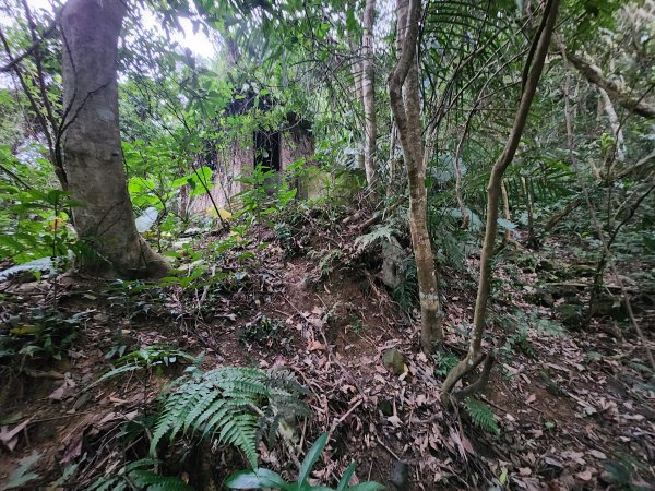 20260208五分寮頂山內大坪山石硬山O型3005234