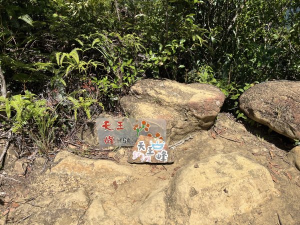 [微笑山線_第九段] 2025_0914 二格山系_天王峰2889579