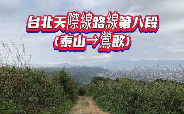 台北天際線第八段(泰山→鶯歌)