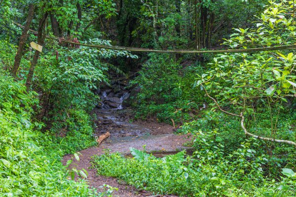 [屏東]笠頂山2847894