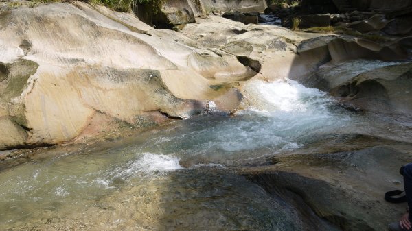 外按古道登山健行趣(淡蘭南路TK3-3)2269032