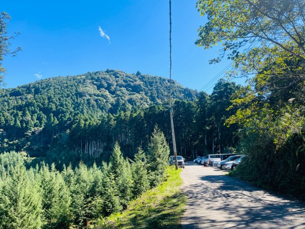 1141116油羅山2946413