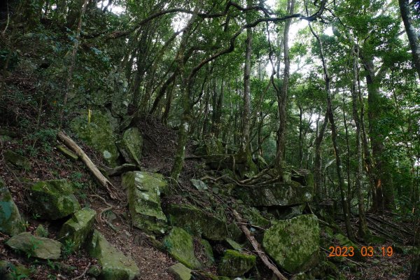 新竹 五峰 比林山、大窩山、鳥嘴山2080250