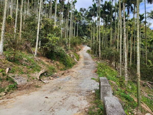 20241222二載山與大橫屏山南峰(追加鹽菜甕山、鹽菜甕下山)2721532