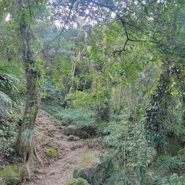 馬那邦山、細道邦山（小百岳）2435553