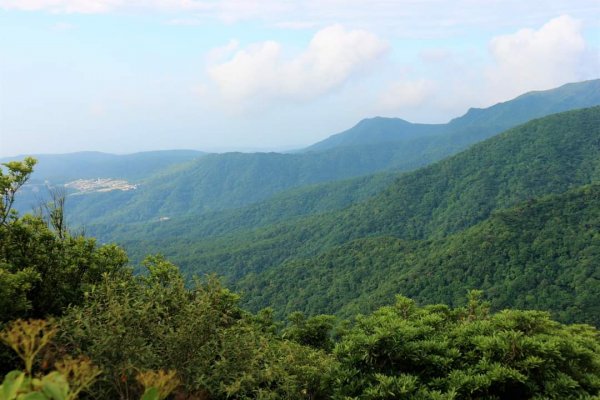 陽明山  菜公坑山 反經石   水車寮步道。林木蓊鬱  豐富的蕨類植披，絕佳避暑古道2174060