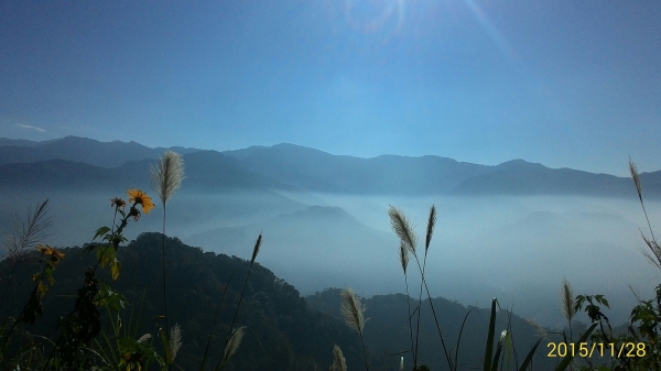 20151128苗栗大湖鄉馬拉邦山28045