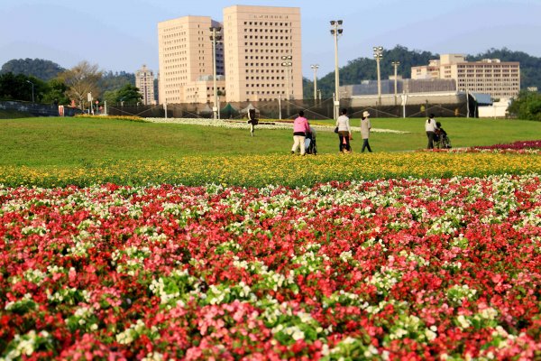 【新聞】北市道南河濱花海超卡哇伊 讓人拍到手軟