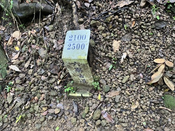 [皮皮獅探險隊-01/10] 2025_0706 六寮古道2830738