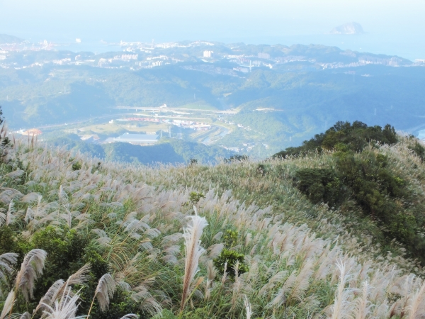步道小旅行-賞芒聖地五分山3886