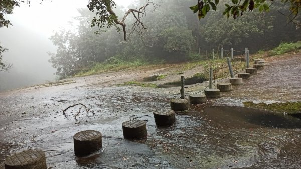 風雨飄搖中的石夢谷、情人谷瀑布步道1134897