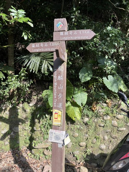 20251010南化龍麟山步道2914980