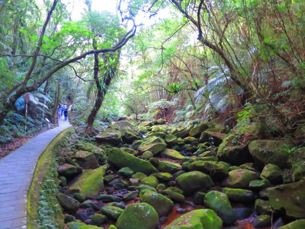 龍年首登的好選擇，鯉躍龍門，搭捷運來內湖爬三尖，鯉魚山、忠勇山、圓覺尖2426560