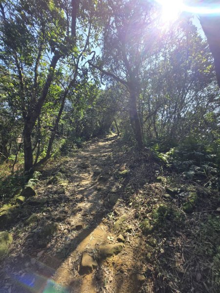 姜子寮山的360度壯麗山景2702092