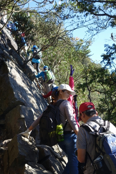 鳶嘴山~稍來~稍來南峰105.12.1077926