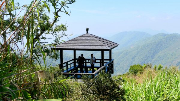 二延平步道。貿易戰2764963