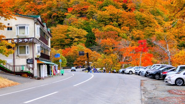 青森縣奧入瀨溪2929971