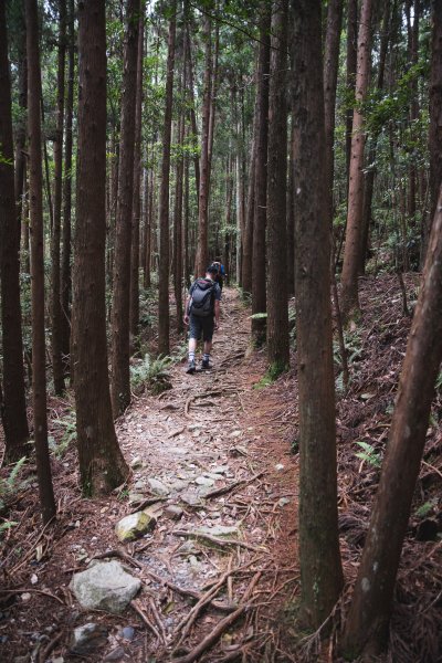 八仙山-夏日避暑好所在631689