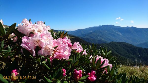 合歡東峰行332294