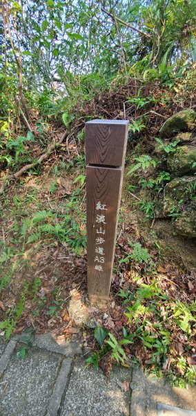2021-09-20紅淡山登山步道1465707